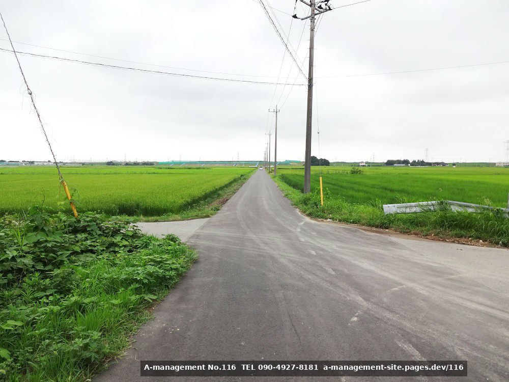 田園地帯のまっすぐな道（千葉県野田市のロケ地）