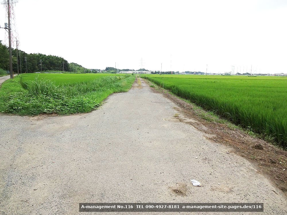 田園地帯の撮影イメージ（千葉県野田市のロケ地）