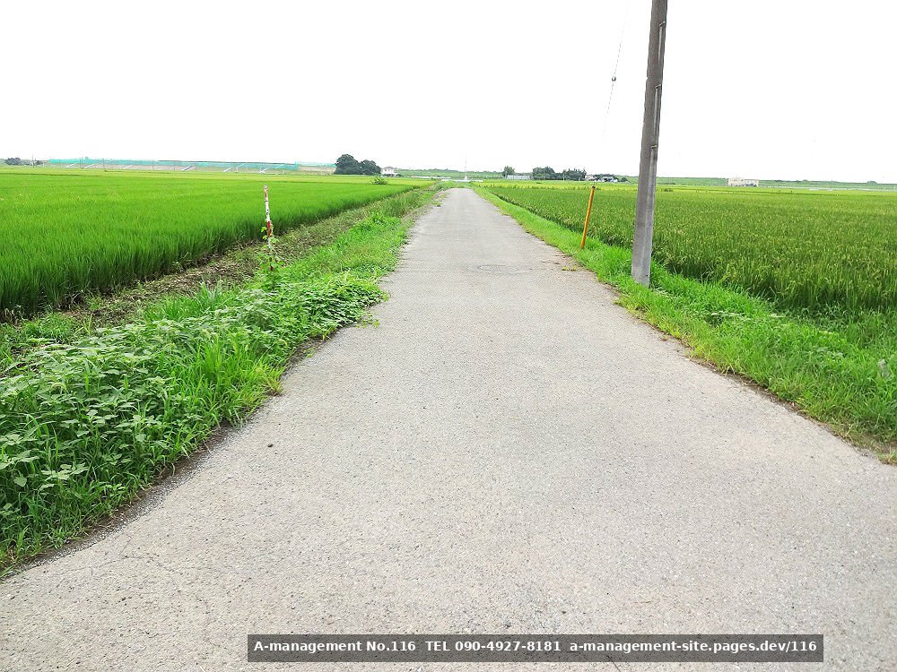 田園地帯の撮影イメージ（千葉県野田市のロケ地）