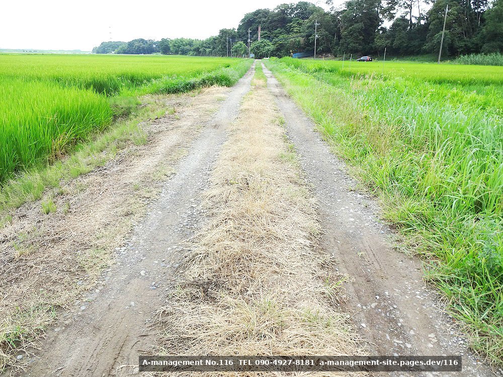 田園地帯の撮影イメージ（千葉県野田市のロケ地）