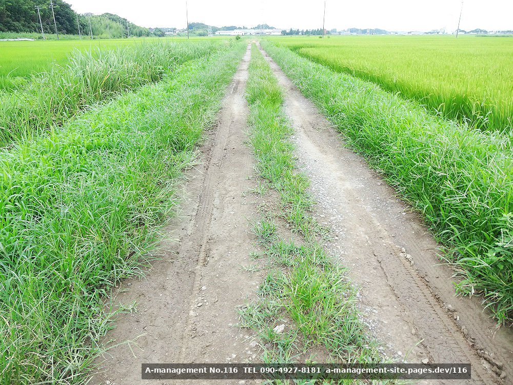 田園地帯の撮影イメージ（千葉県野田市のロケ地）