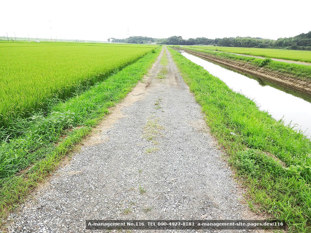 田園地帯の撮影イメージ（千葉県野田市のロケ地）