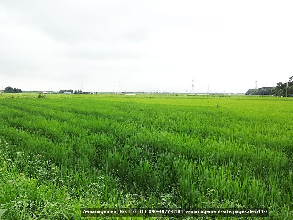 田園地帯の撮影イメージ（千葉県野田市のロケ地）
