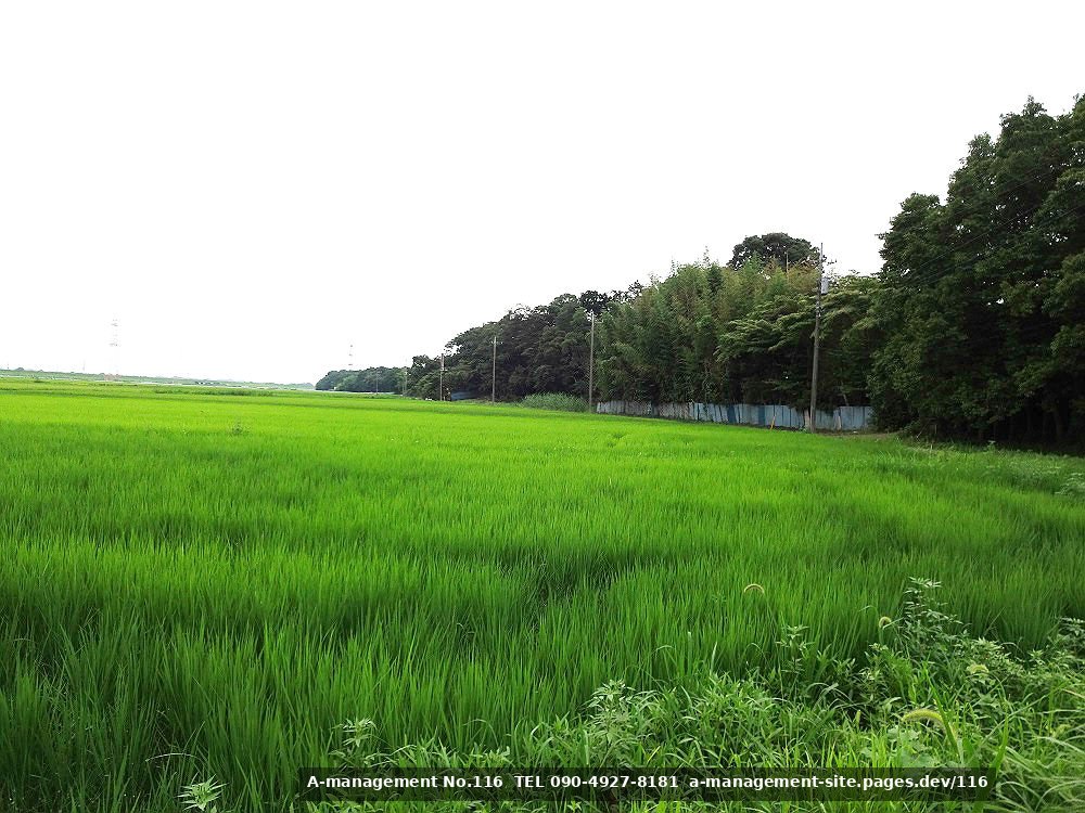 田園地帯の撮影イメージ（千葉県野田市のロケ地）