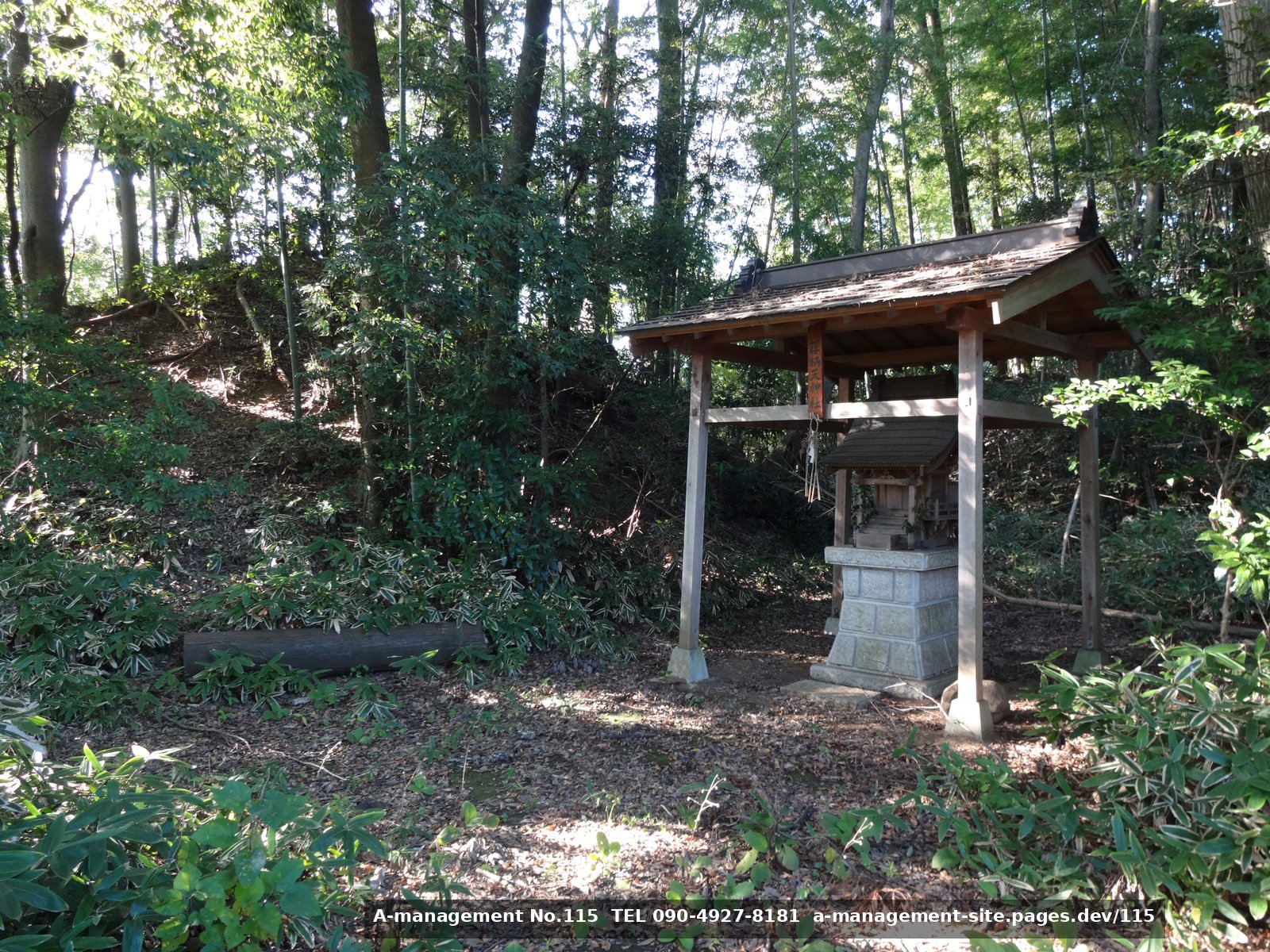 祠のある裏山の祠（千葉県野田市のロケ地）